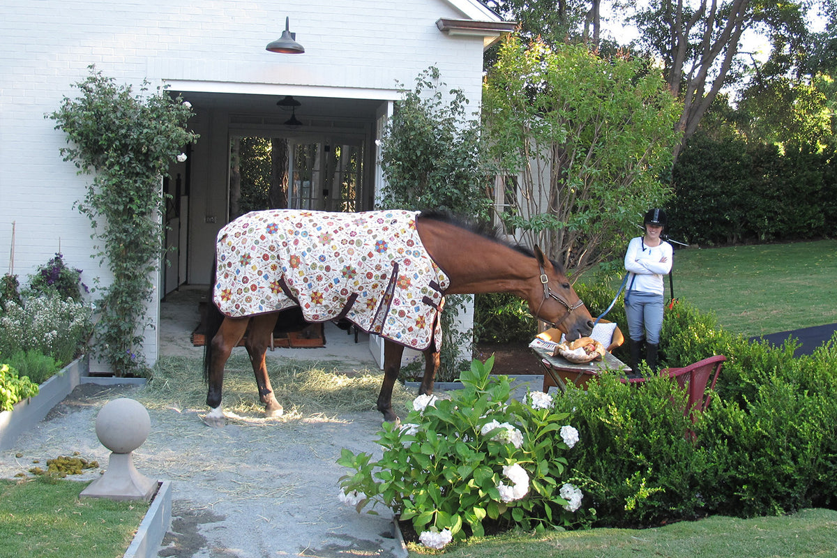 A brown horse wearing a Safi Suzani Chocolate Cherry horse blanket stands in a driveway next to a woman in equestrian attire designed by Kathryn M. Ireland